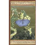 Paintings - Paintings Manufacturer, Wholesale Paintings